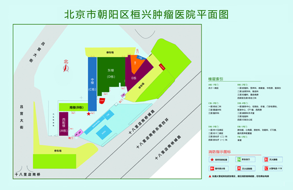 男人插插女人的视频网站北京市朝阳区桓兴肿瘤医院平面图